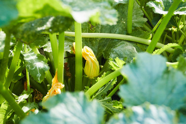 Similar image 22228968