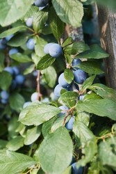 Similar image 22228969