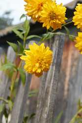 Similar image 22228970