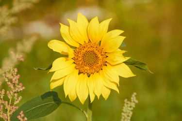 Similar image 22228974