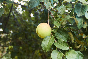 Similar image 22228975