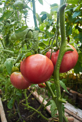 Similar image 22228976