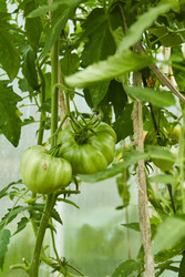 Similar image 22228977