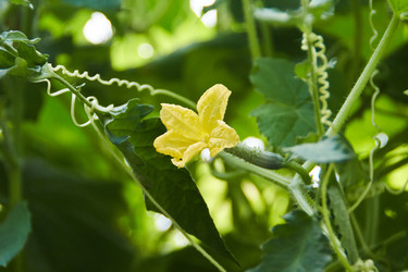 Similar image 22228978