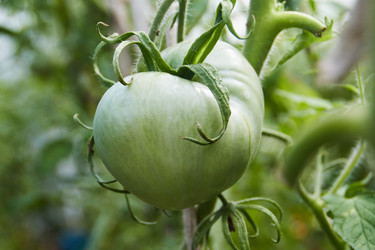 Similar image 22228979