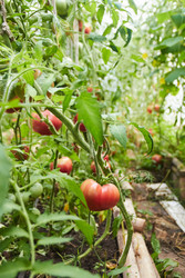 Similar image 22228980