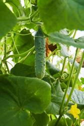 Similar image 22228981