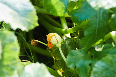 Similar image 22228982