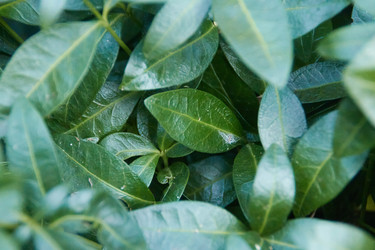 Similar image 22228985