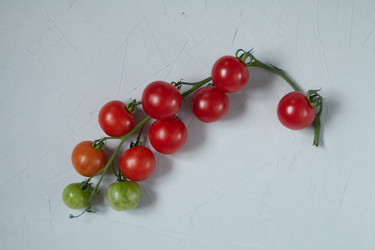 Similar image 22228986