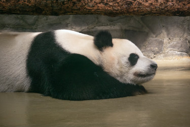 Similar image 22229593