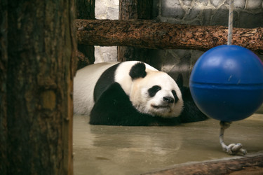 Similar image 22229594