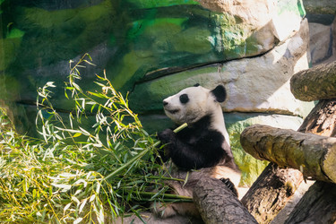 Similar image 22229596