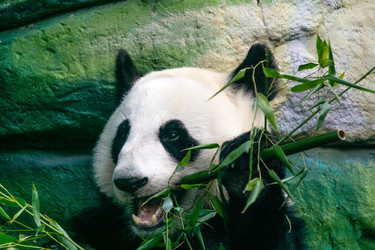 Similar image 22229598