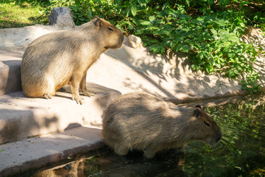 Similar image 22229599