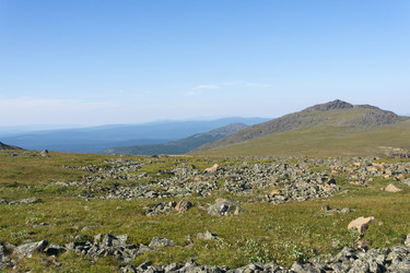 Similar image 22229607