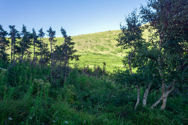 Similar image 22229609