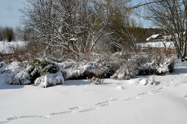 Similar image 22229001