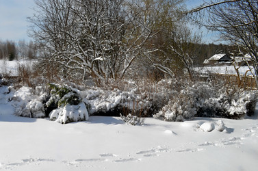 Similar image 22229002