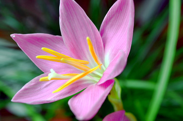 Similar image 22229003