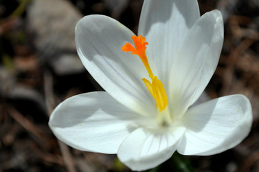 Similar image 22229005