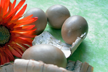 Similar image 22229009