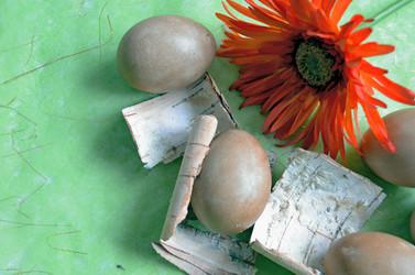 Similar image 22229010