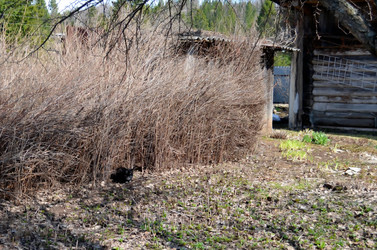 Similar image 22229013