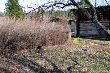 Similar image 22229014