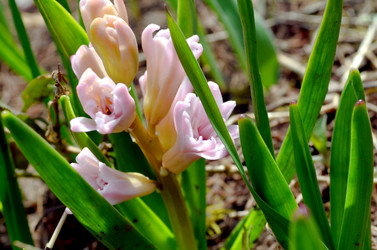 Similar image 22229016