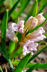 Similar image 22229017