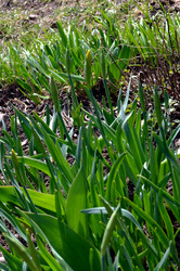 Similar image 22229018