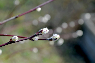 Similar image 22229019