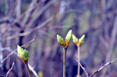 Similar image 22229020