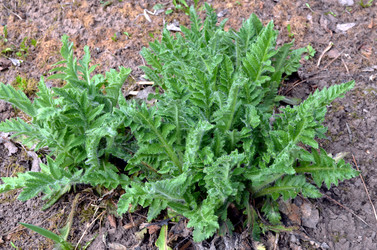 Similar image 22229022