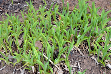 Similar image 22229023