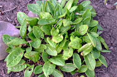 Similar image 22229024