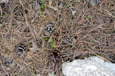 Similar image 22229025