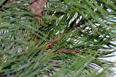 Similar image 22229026