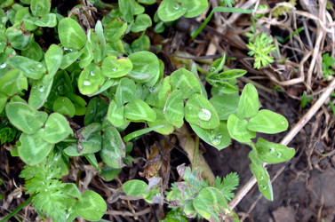 Similar image 22229029