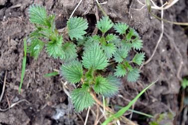 Similar image 22229030