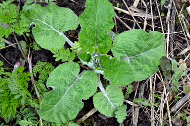 Similar image 22229031