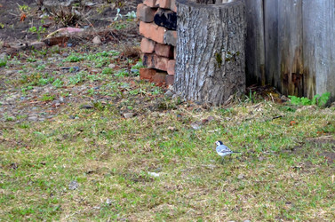 Similar image 22229033