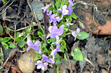 Similar image 22229034