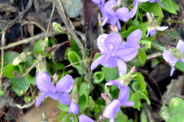 Similar image 22229035