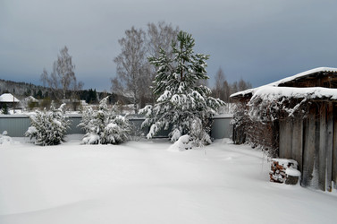 Similar image 22229040