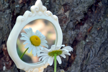 Similar image 22229139