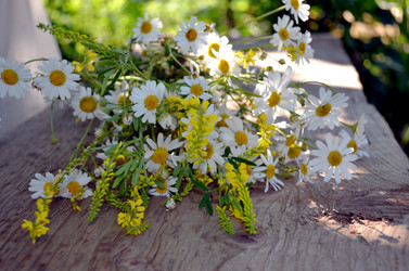 Similar image 22229140