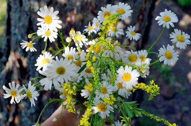 Similar image 22229141