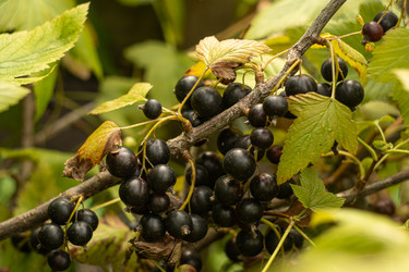 Similar image 22229614